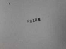 Load image into Gallery viewer, Vintage Nude Woman Hairy Pussy Silver Gelatin Photo   AZr
