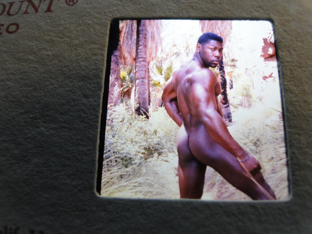 Vintage Adult Erotic 3D Stereoview Nude Hot Hung Gay Man Slide CQ32