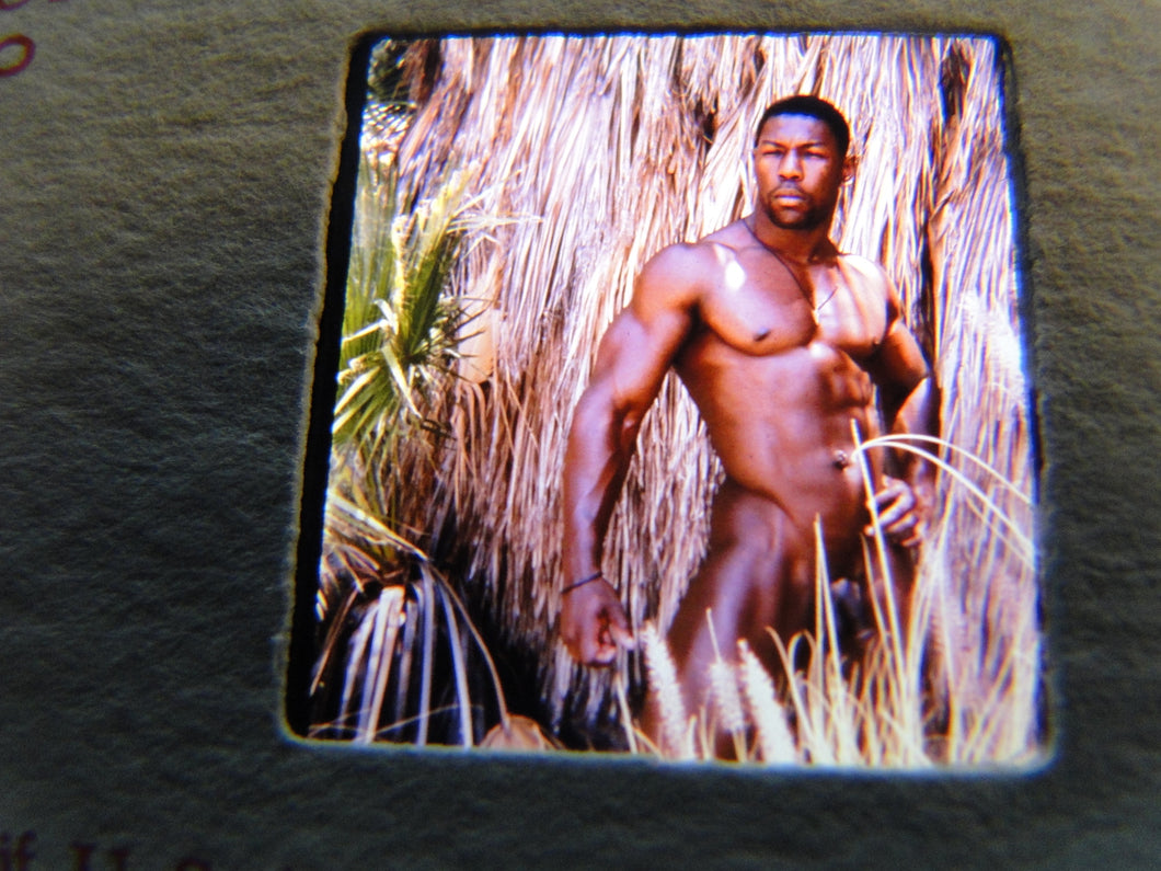 Vintage Adult Erotic 3D Stereoview Nude Hot Hung Gay Man Slide CR15