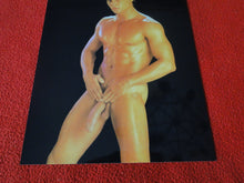 Load image into Gallery viewer, Vintage 18 Y.O. + Gay Interest Nude Hot Hung Muscular Male Photo 8 x 10            AH26
