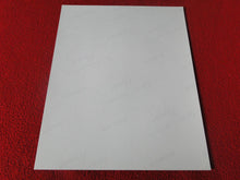 Load image into Gallery viewer, Vintage 18 Y.O. + Gay Interest Nude Hot Hung Muscular Male Photo 8 x 10            AH29
