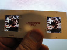 Load image into Gallery viewer, Vintage Adult Erotic 3D Stereoview Nude Hot Hung Gay Man Slide CS21
