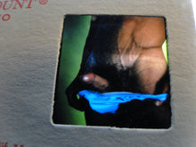 Load image into Gallery viewer, Vintage Adult Erotic 3D Stereoview Nude Hot Hung Gay Man Slide CS33
