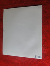 Load image into Gallery viewer, Vintage Nude Woman 8 x 10 Silver Gelatin Photo Young Nice Tits Beautiful Pussy AV@
