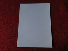 Load image into Gallery viewer, Vintage 18 Y.O + Gay Interest Colt Studios Nude Hot Male Photo        D%5
