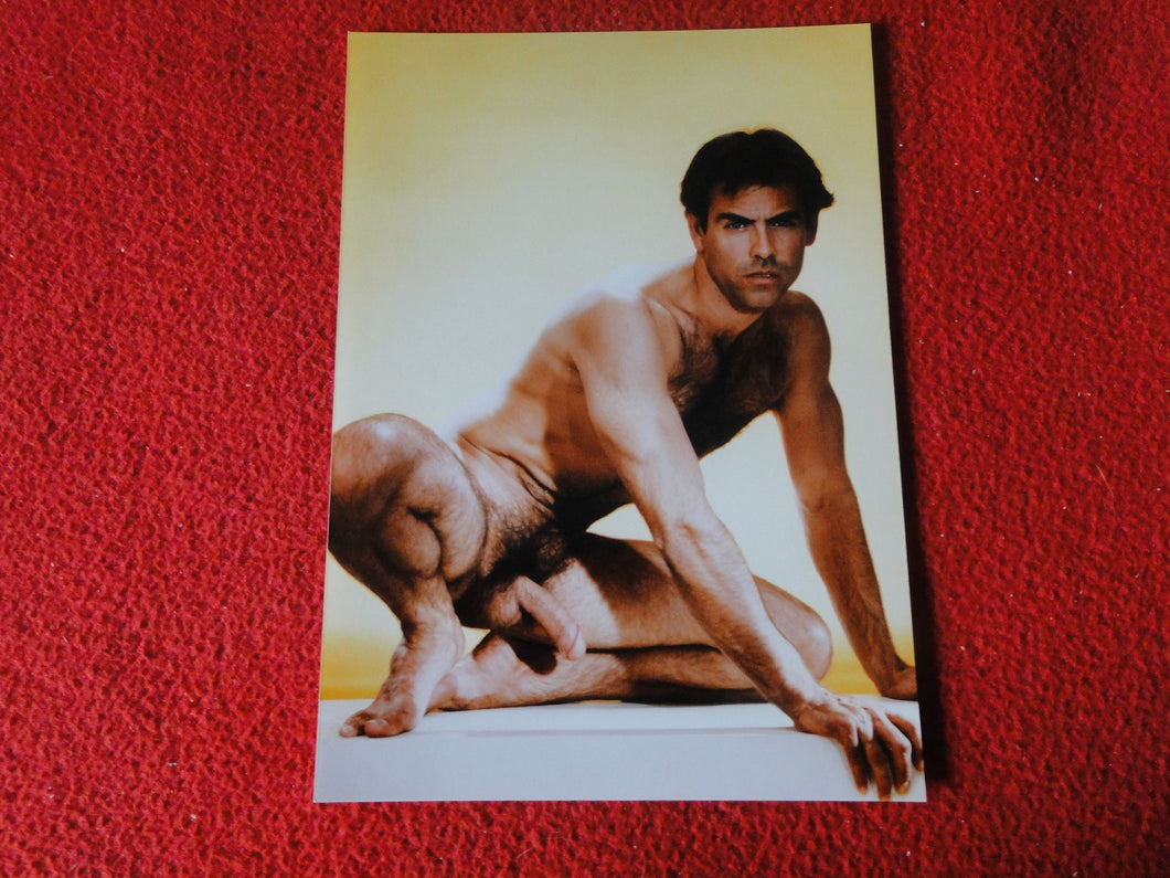 Vintage 18 Y.O + Gay Interest Colt Studios Nude Hot Male Photo        D%10