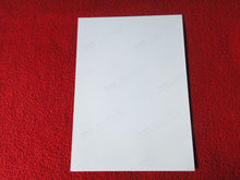 Load image into Gallery viewer, Vintage 18 Y.O + Gay Interest Colt Studios Nude Hot Male Photo        D%12
