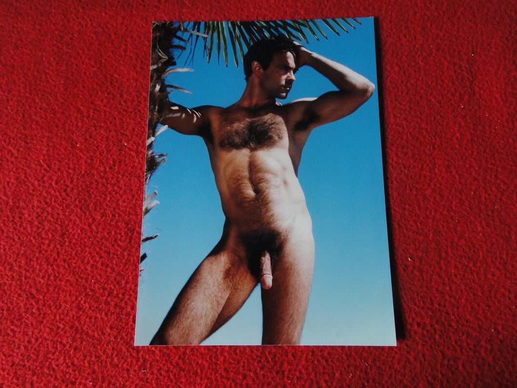 Vintage 18 Y.O + Gay Interest Colt Studios Nude Hot Male Photo        D%13