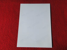 Load image into Gallery viewer, Vintage 18 Y.O + Gay Interest Colt Studios Nude Hot Male Photo        D%13
