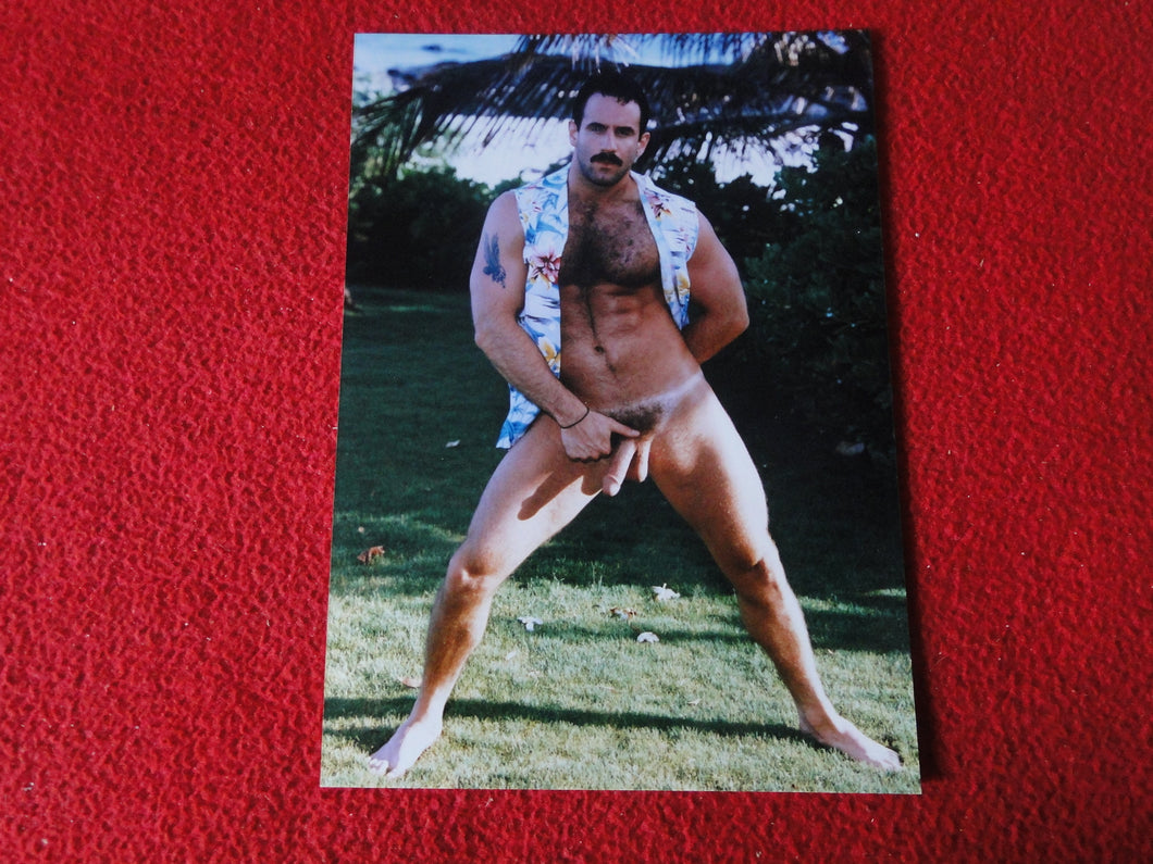 Vintage 18 Y.O + Gay Interest Colt Studios Nude Hot Male Photo        D%2