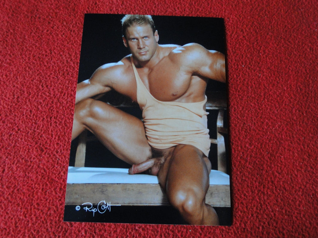 Vintage 18 Y.O + Gay Interest Colt Studios Nude Hot Male Photo        D%19