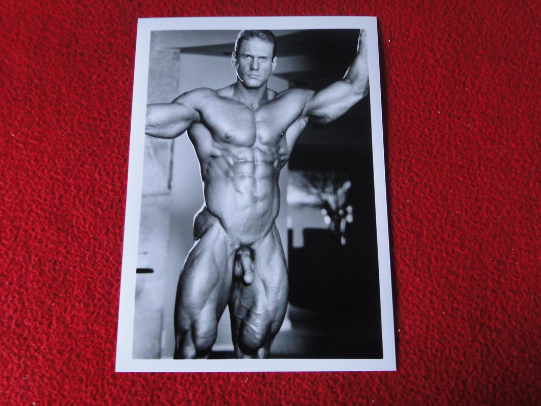 Vintage 18 Y.O + Gay Interest Colt Studios Nude Hot Male Photo        D%22