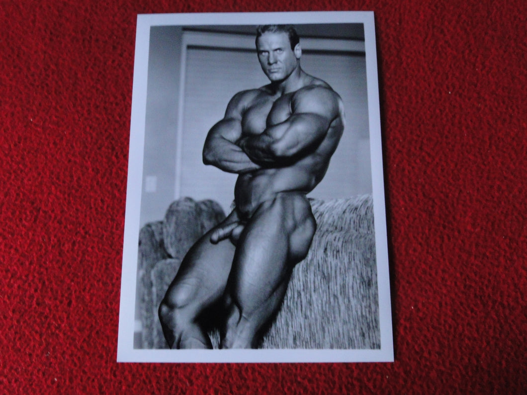 Vintage 18 Y.O + Gay Interest Colt Studios Nude Hot Male Photo        D%27