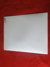 Load image into Gallery viewer, Vintage Nude Woman 8 x 10 Silver Gelatin Photo Young Dildo Hairy Pussy  AW3
