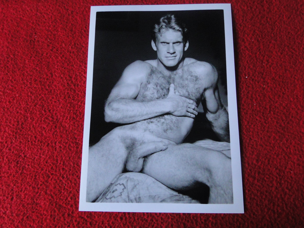 Vintage 18 Y.O + Gay Interest Colt Studios Nude Hot Male Photo        D%40