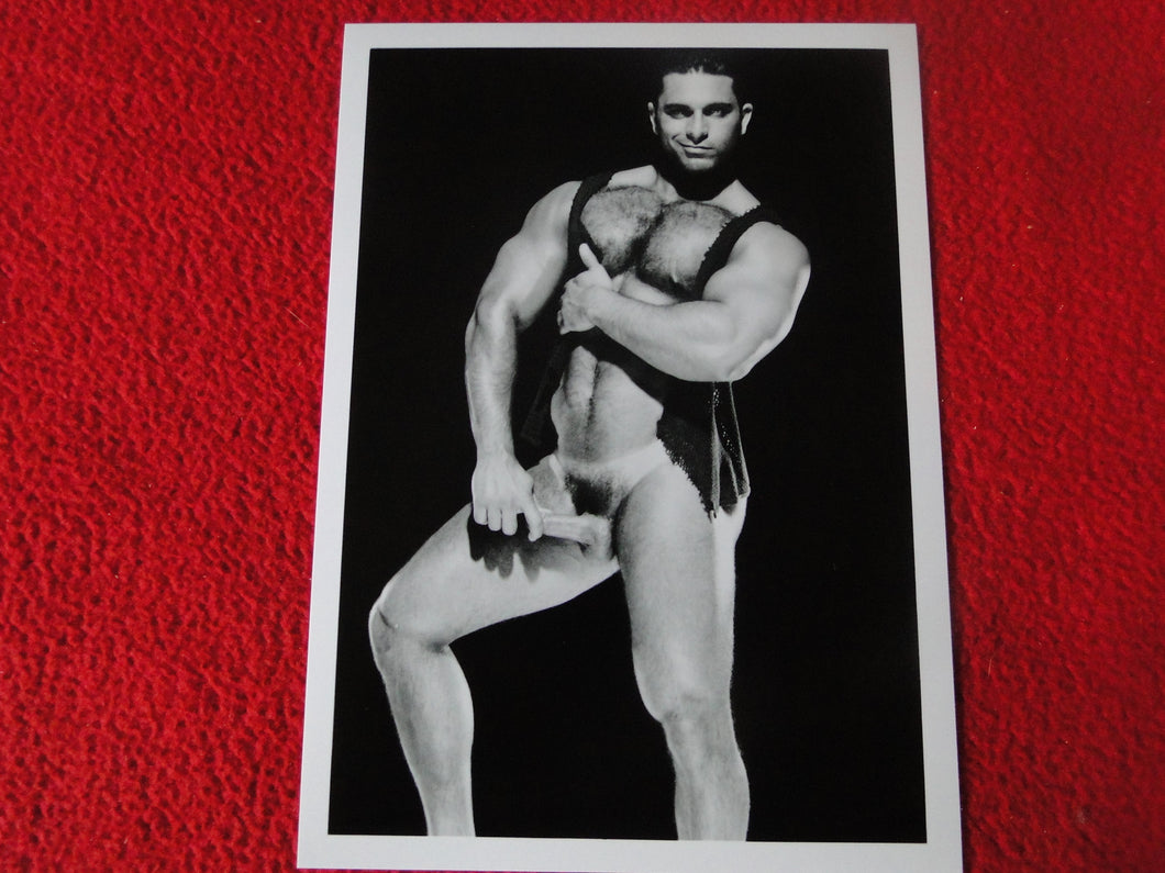 Vintage 18 Y.O + Gay Interest Colt Studios Nude Hot Male Photo        D^8