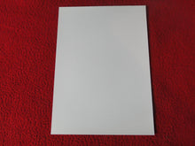 Load image into Gallery viewer, Vintage 18 Y.O + Gay Interest Colt Studios Nude Hot Male Photo        D^8
