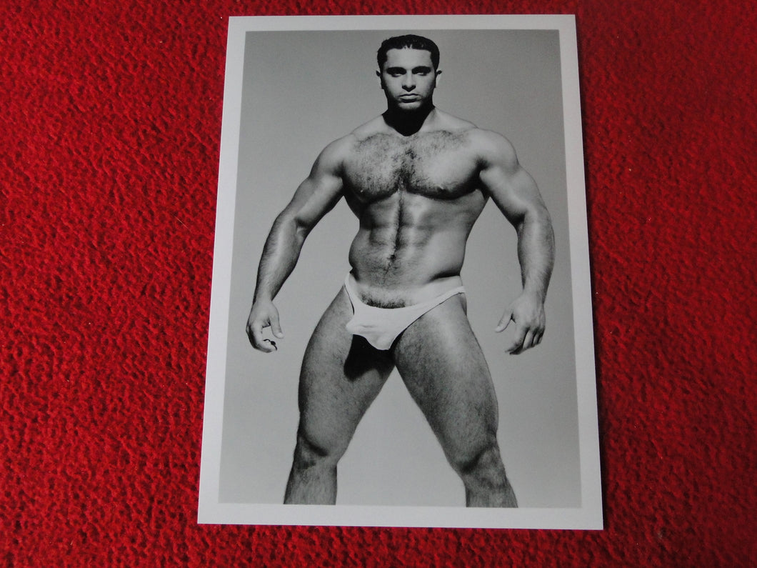 Vintage 18 Y.O + Gay Interest Colt Studios Nude Hot Male Photo        D^9