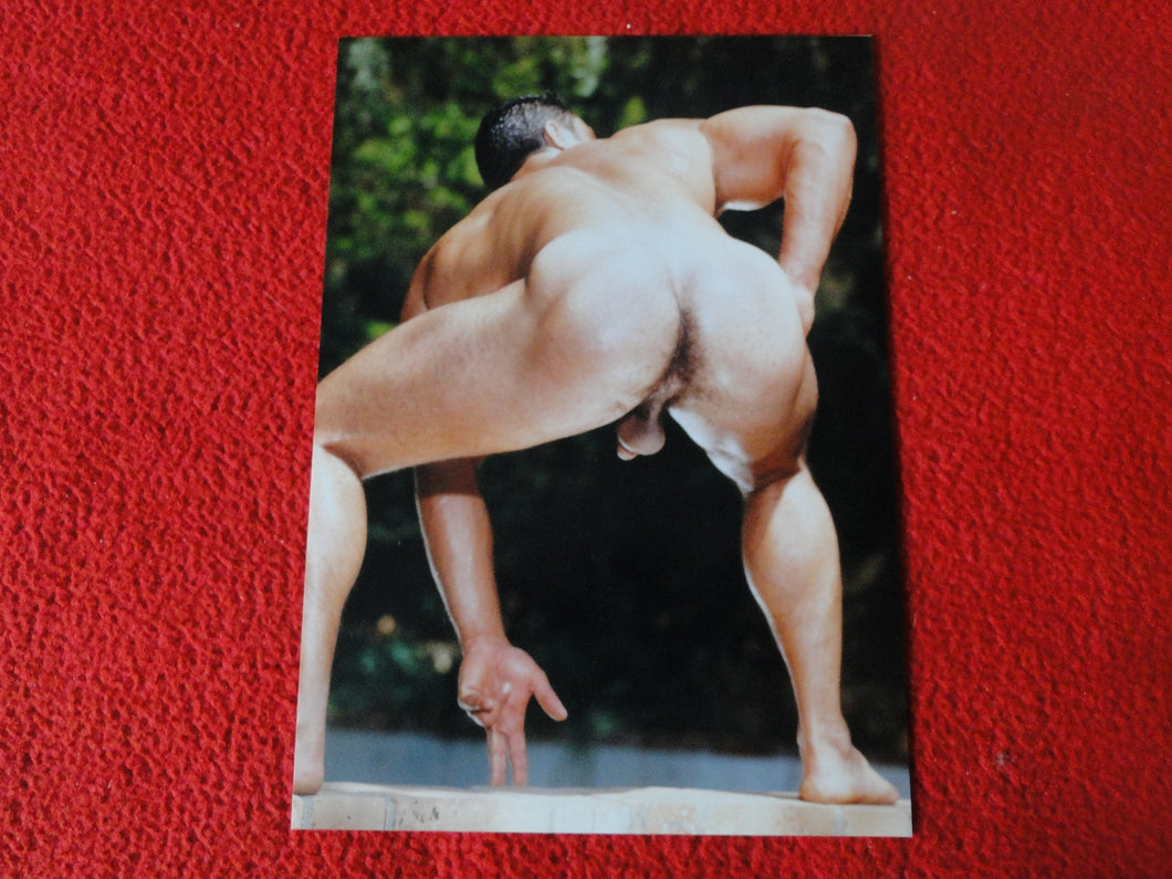 Vintage 18 Y.O + Gay Interest Colt Studios Nude Hot Male Photo        D^12