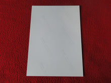 Load image into Gallery viewer, Vintage 18 Y.O + Gay Interest Colt Studios Nude Hot Male Photo        D^15
