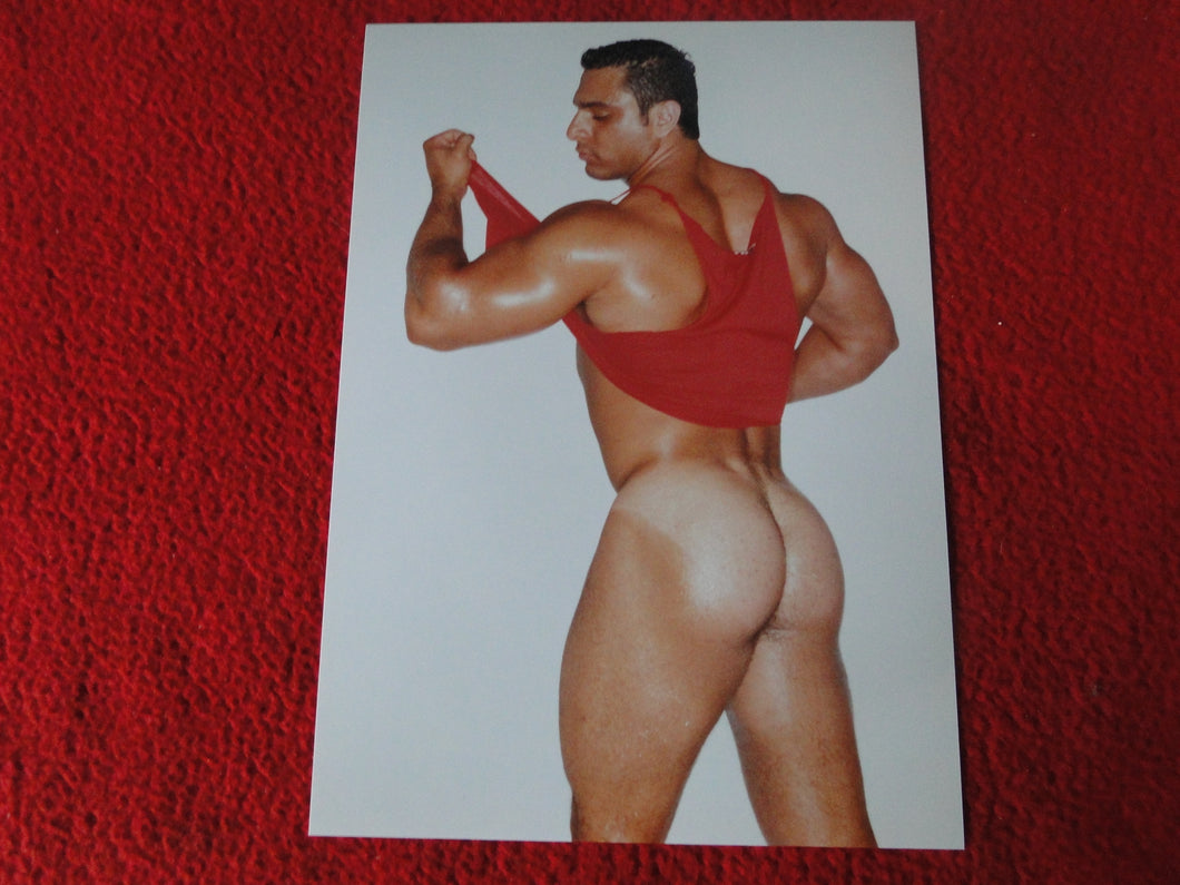 Vintage 18 Y.O + Gay Interest Colt Studios Nude Hot Male Photo        D^19