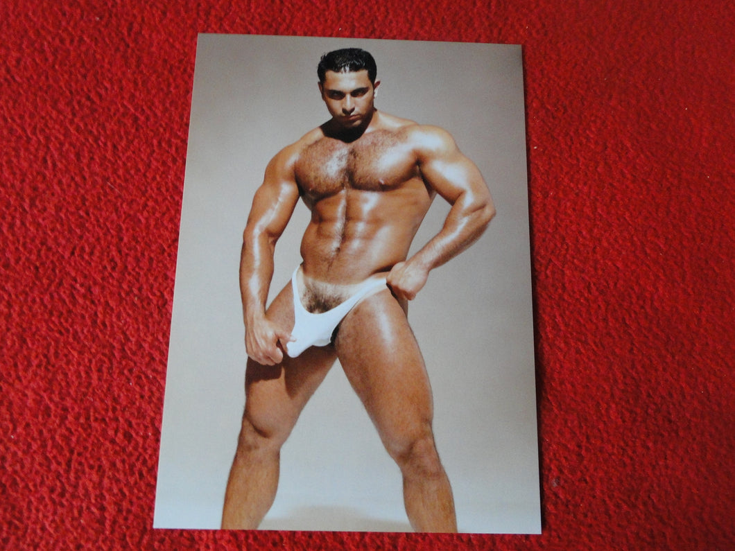 Vintage 18 Y.O + Gay Interest Colt Studios Nude Hot Male Photo        D^21