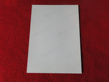 Load image into Gallery viewer, Vintage 18 Y.O + Gay Interest Colt Studios Nude Hot Male Photo        D^24
