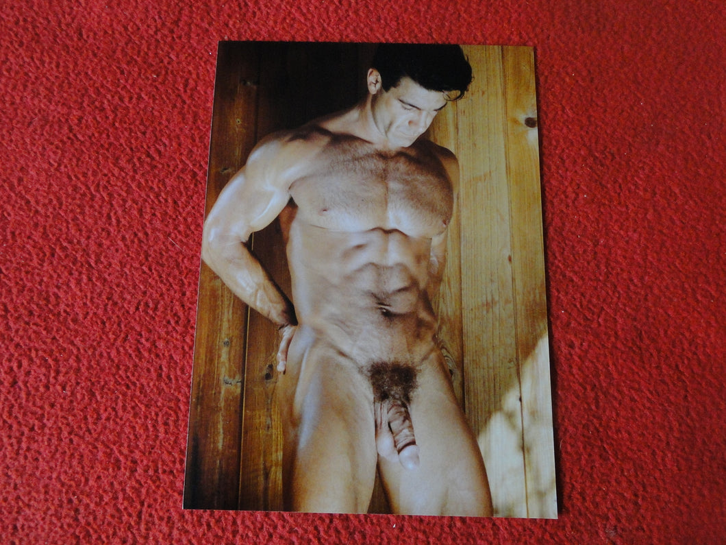 Vintage 18 Y.O + Gay Interest Colt Studios Nude Hot Male Photo        D^25