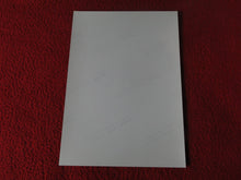 Load image into Gallery viewer, Vintage 18 Y.O + Gay Interest Colt Studios Nude Hot Male Photo        D^31
