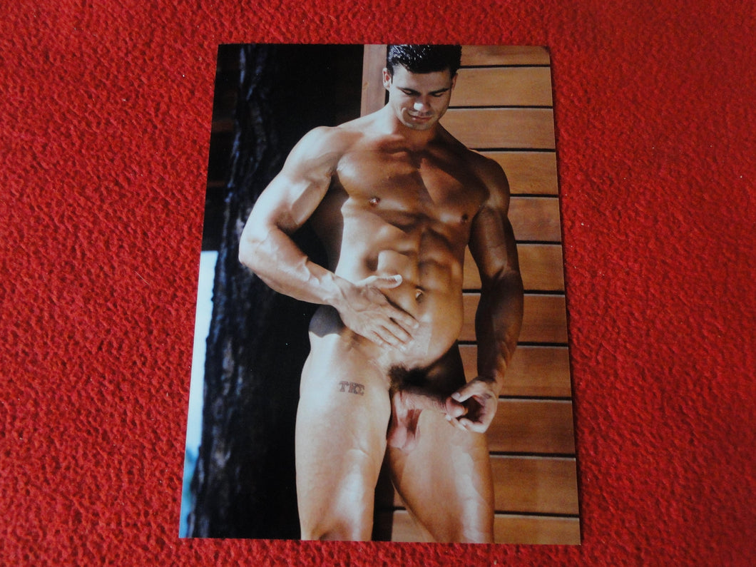 Vintage 18 Y.O + Gay Interest Colt Studios Nude Hot Male Photo        D^32