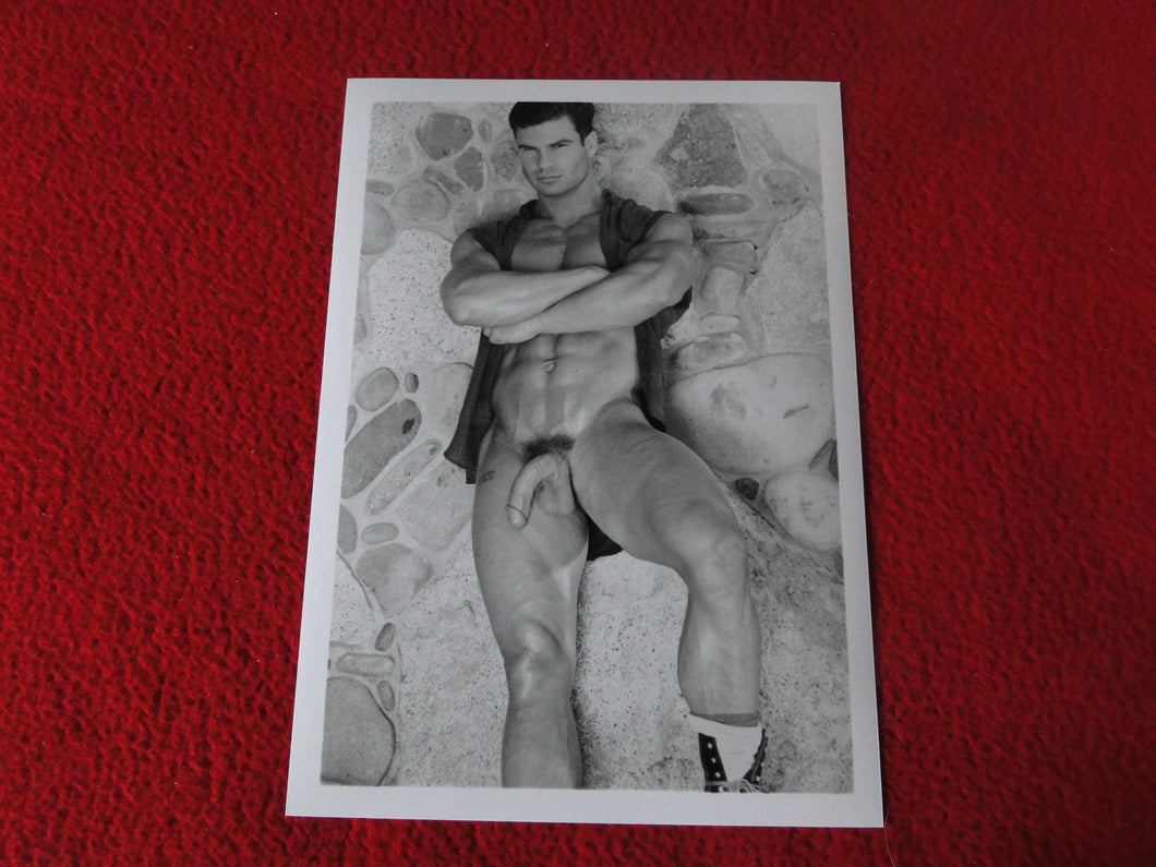 Vintage 18 Y.O + Gay Interest Colt Studios Nude Hot Male Photo        D=6