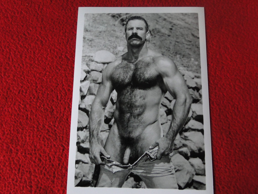 Vintage 18 Y.O + Gay Interest Colt Studios Nude Hot Male Photo        D=16