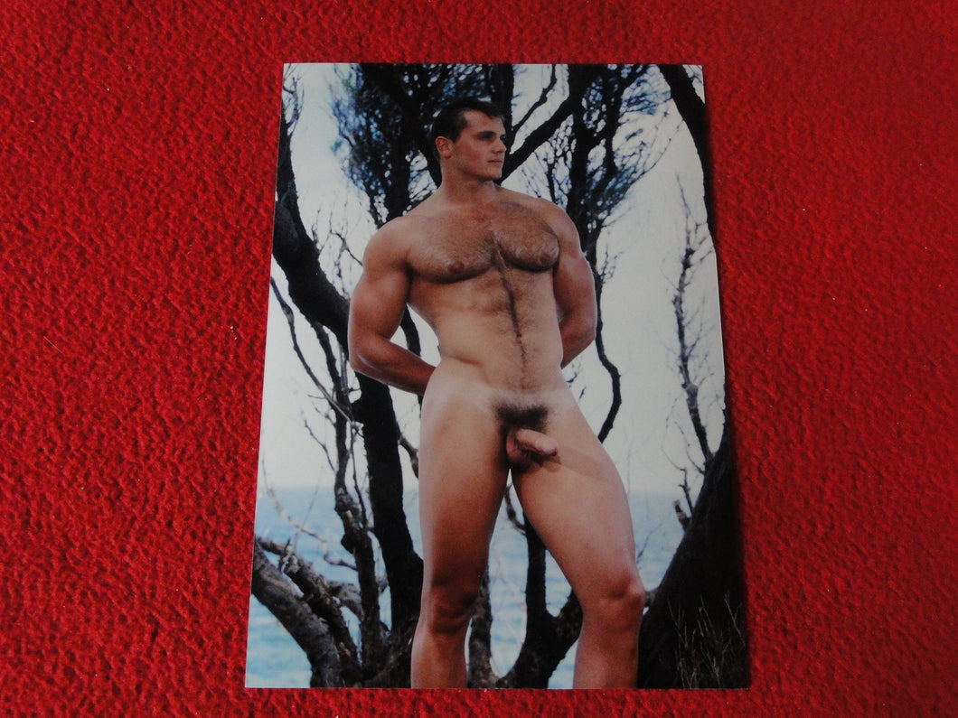Vintage 18 Y.O + Gay Interest Colt Studios Nude Hot Male Photo        D=25