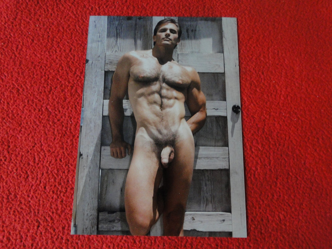 Vintage 18 Y.O + Gay Interest Colt Studios Nude Hot Male Photo        D=28