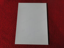 Load image into Gallery viewer, Vintage 18 Y.O + Gay Interest Colt Studios Nude Hot Male Photo        D=28
