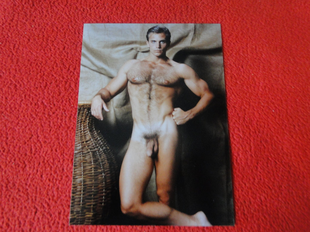 Vintage 18 Y.O + Gay Interest Colt Studios Nude Hot Male Photo        D=29