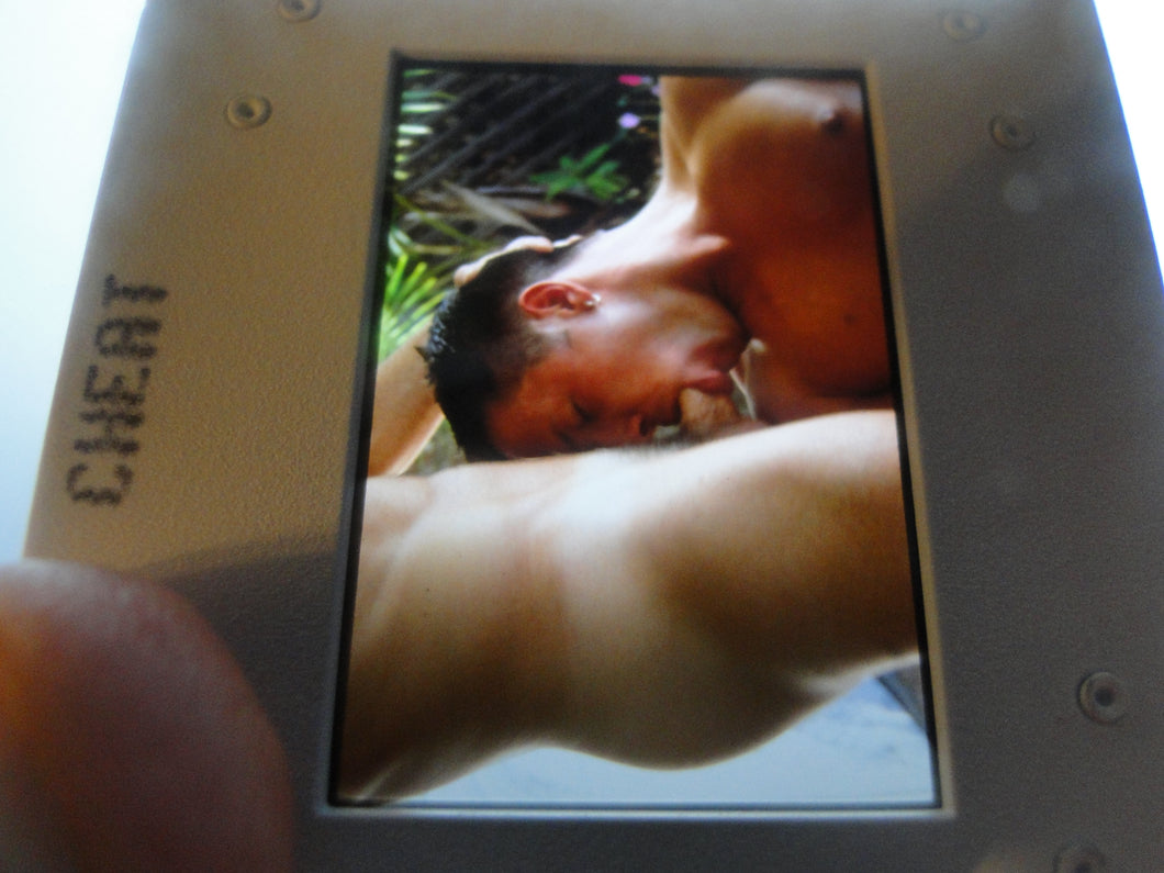 VINTAGE 35MM GAY MALE SLIDE BEEFCAKE MUSCLE NUDE FALCON STUDIOS JH18