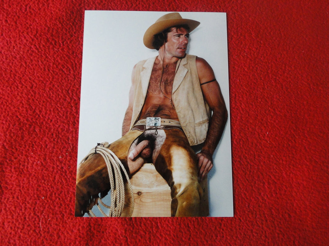 Vintage 18 Y.O + Gay Interest Colt Studios Nude Hot Hung Male Photo        D26a