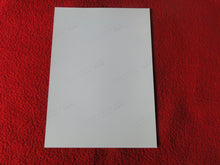 Load image into Gallery viewer, Vintage 18 Y.O + Gay Interest Colt Studios Nude Hot Hung Male Photo        D26c
