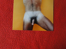 Load image into Gallery viewer, Vintage 18 Y.O + Gay Interest Colt Studios Nude Hot Hung Male Photo        D26e
