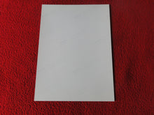 Load image into Gallery viewer, Vintage 18 Y.O + Gay Interest Colt Studios Nude Hot Hung Male Photo        D26e
