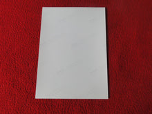 Load image into Gallery viewer, Vintage 18 Y.O + Gay Interest Colt Studios Nude Hot Hung Male Photo        D26j
