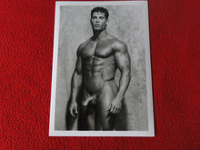 Load image into Gallery viewer, Vintage 18 Y.O + Gay Interest Colt Studios Nude Hot Hung Male Photo        D26k
