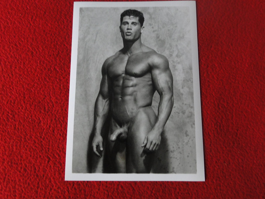 Vintage 18 Y.O + Gay Interest Colt Studios Nude Hot Hung Male Photo        D26k
