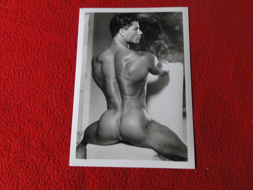 Vintage 18 Y.O + Gay Interest Colt Studios Nude Hot Hung Male Photo        D26o