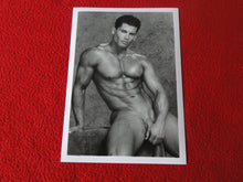 Load image into Gallery viewer, Vintage 18 Y.O + Gay Interest Colt Studios Nude Hot Hung Male Photo        D26p
