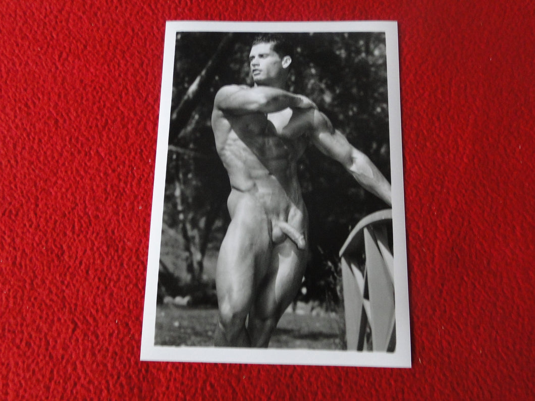 Vintage 18 Y.O. + Gay Interest Colt/Fox/Chippendale Nude Hot Male Photo     D26w