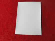 Load image into Gallery viewer, Vintage 18 Y.O. + Gay Interest Colt/Fox/Chippendale Nude Hot Male Photo     D26w
