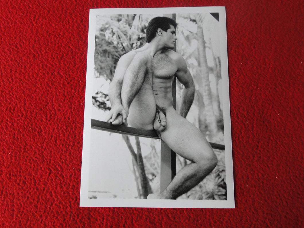 Vintage 18 Y.O. + Gay Interest Colt/Fox/Chippendale Nude Hot Male Photo     D26y