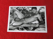 Load image into Gallery viewer, Vintage 18 Y.O. + Gay Interest Colt/Fox/Chippendale Nude Hot Male Photo     D263
